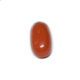 Red Coral - Oval Shaped