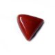 Red Coral – Triangle Shaped